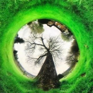 Meet your Posher, Graham